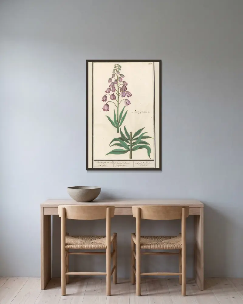 Persische Lilie (Fritillaria persica) von Anselmus Boëtius de Boodt gerahmt an einer Wand
