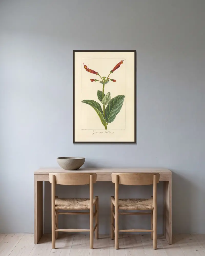 Gesneria bulbosa av Jean Claude Michel Mordant de Launay inramad på en vägg