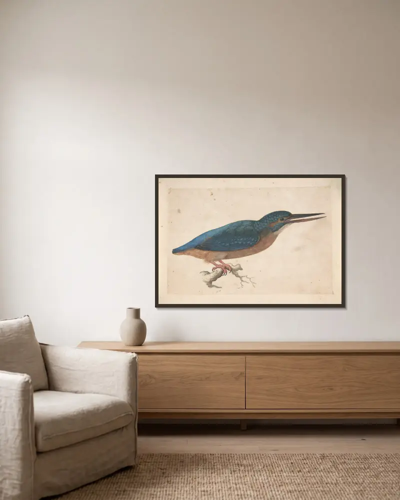 A Kingfisher on a Branch av Jacques Le Moyne de Morgues inramad på en vägg
