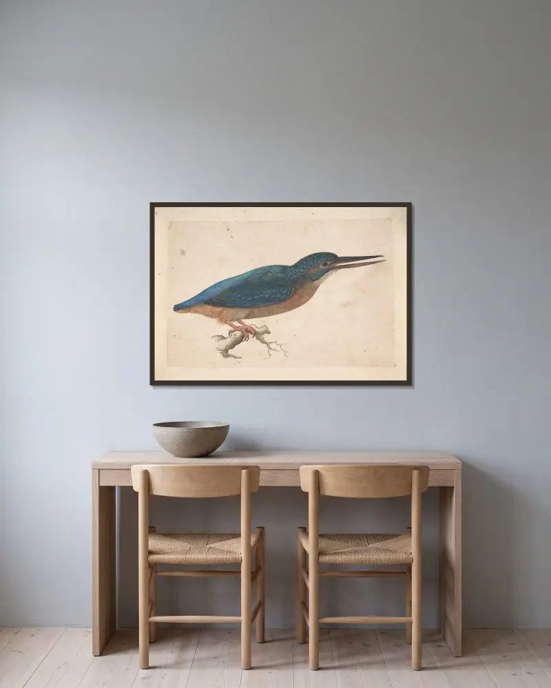A Kingfisher on a Branch av Jacques Le Moyne de Morgues inramad på en vägg