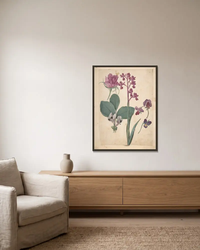 Blad med blomsterstudier: en ros, en viol, en luktärt, en trädgårdsärt och en laxblomsterorkidé av Jacques Le Moyne de Morgues inramad på en vägg