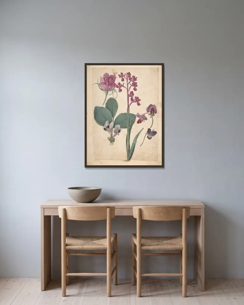 Blad med blomsterstudier: en ros, en viol, en luktärt, en trädgårdsärt och en laxblomsterorkidé av Jacques Le Moyne de Morgues inramad på en vägg