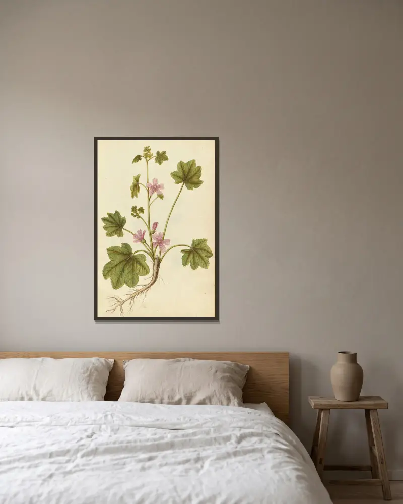 Malva sylvestris. Ślaz dziki, Jacques Le Moyne de Morgues w ramie na ścianie