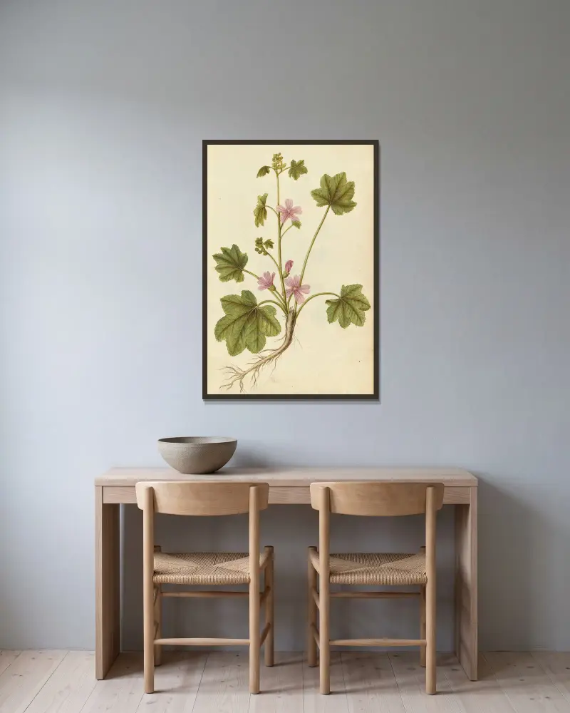 Malva sylvestris. Ślaz dziki, Jacques Le Moyne de Morgues w ramie na ścianie