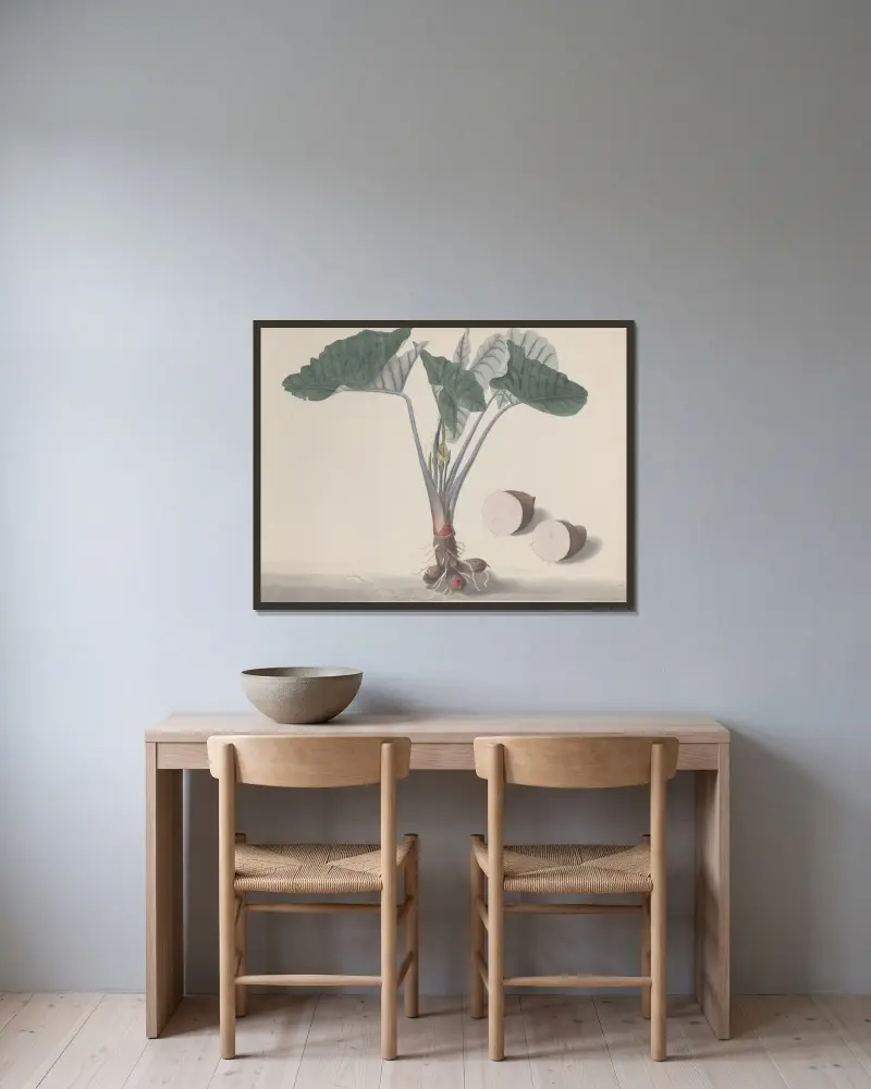 Naturgeschichte von Saint-Domingue, Tafel 156 von René de Rabié gerahmt an einer Wand