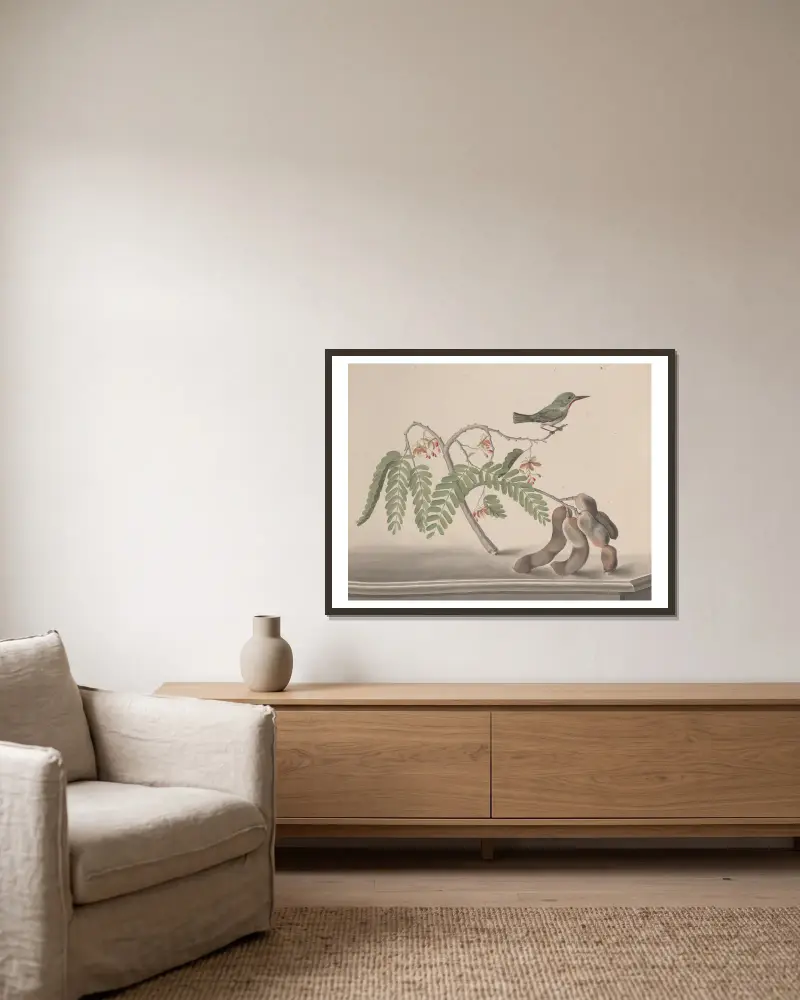 Naturgeschichte von Saint-Domingue Tafel 159 von René de Rabié gerahmt an einer Wand