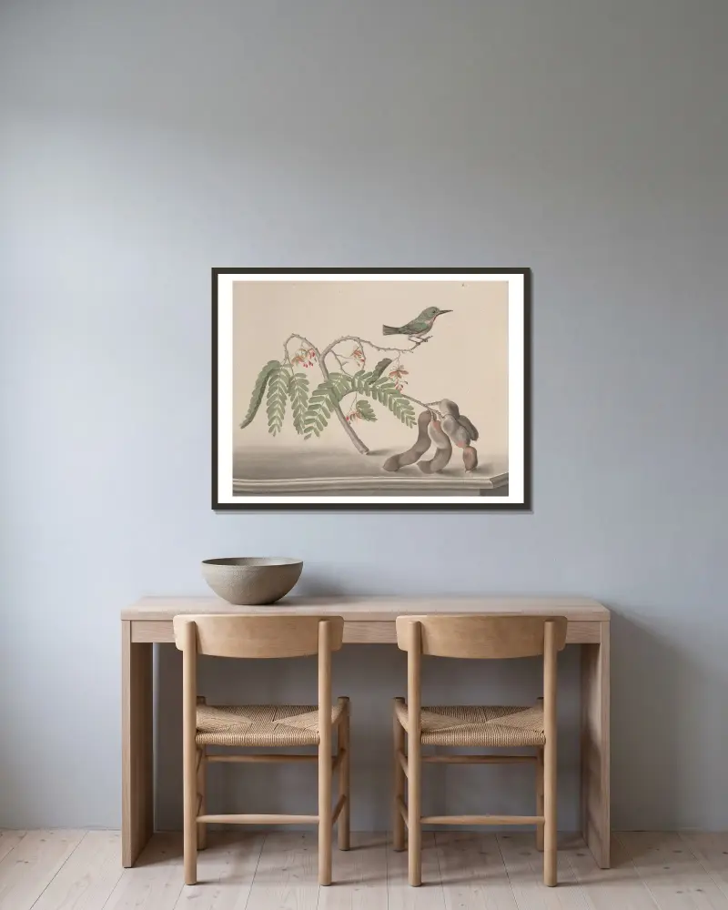 Naturgeschichte von Saint-Domingue Tafel 159 von René de Rabié gerahmt an einer Wand