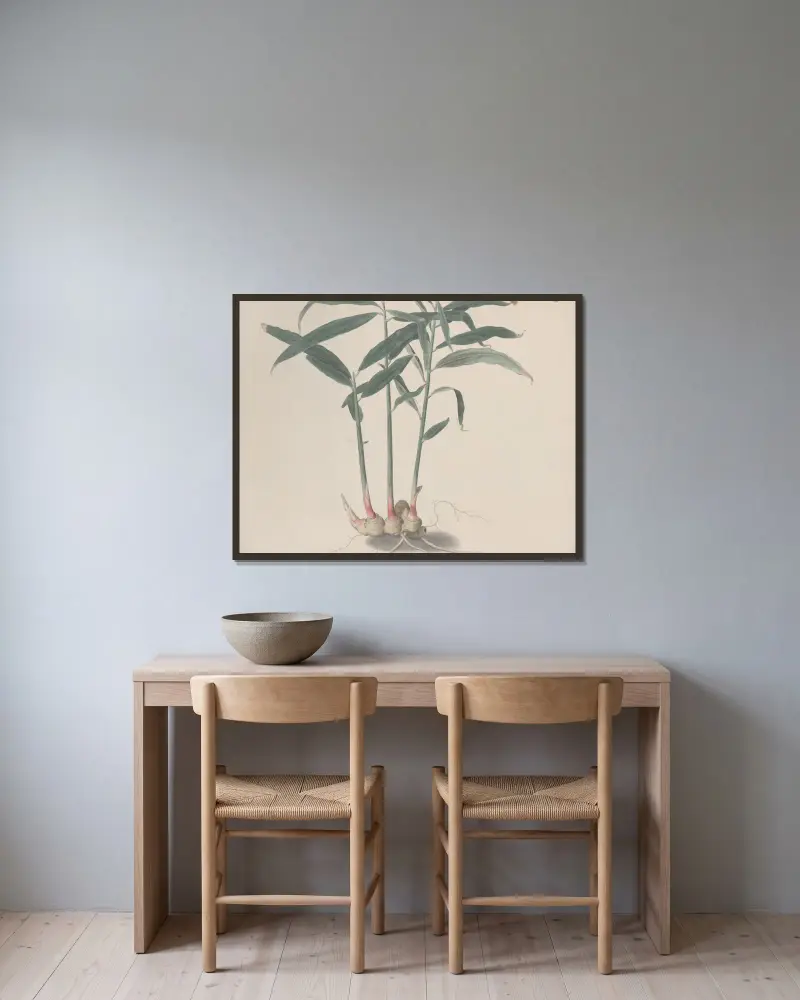 Naturgeschichte von Saint-Domingue, Tafel 176 von René de Rabié gerahmt an einer Wand