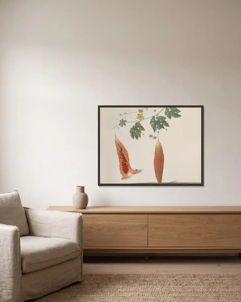 Naturgeschichte von Saint-Domingue, Tafel 185 von René de Rabié gerahmt an einer Wand