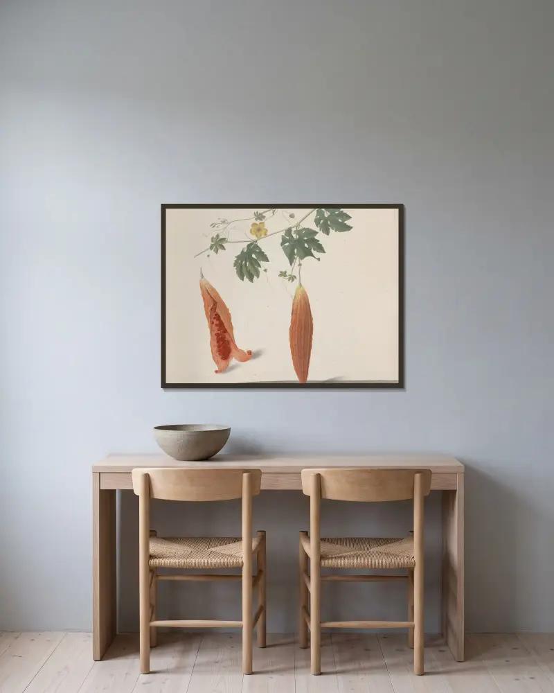 Naturgeschichte von Saint-Domingue, Tafel 185 von René de Rabié gerahmt an einer Wand