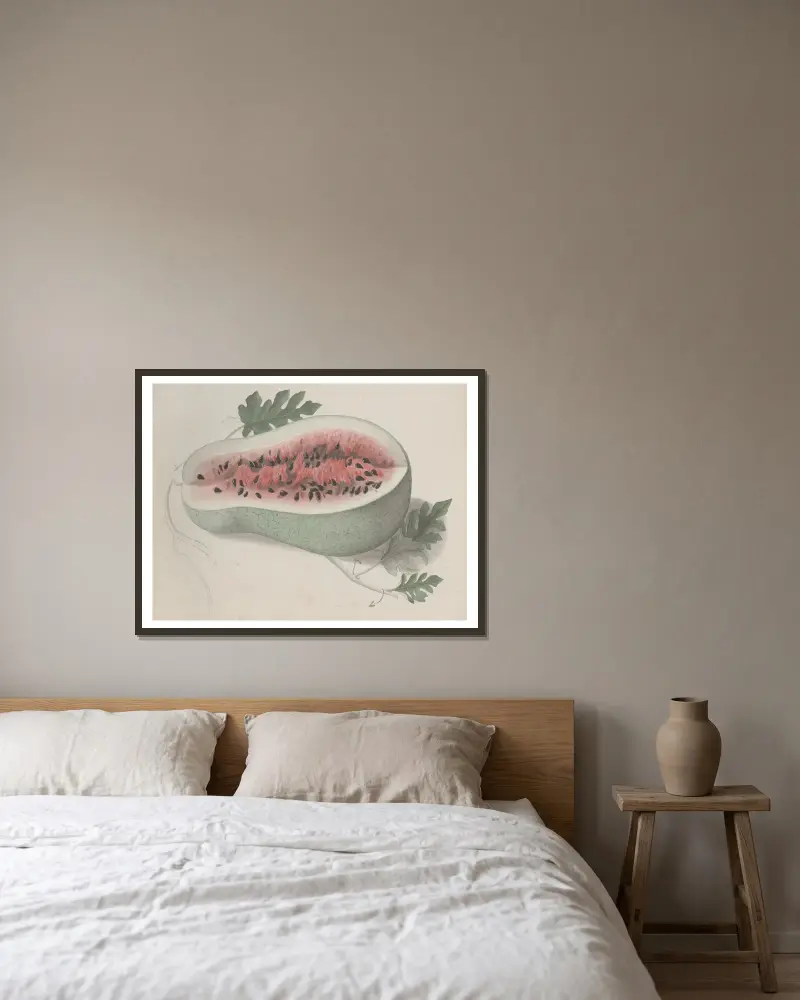 Naturalhistoria över Saint Domingue, plansch 190 av René de Rabié inramad på en vägg