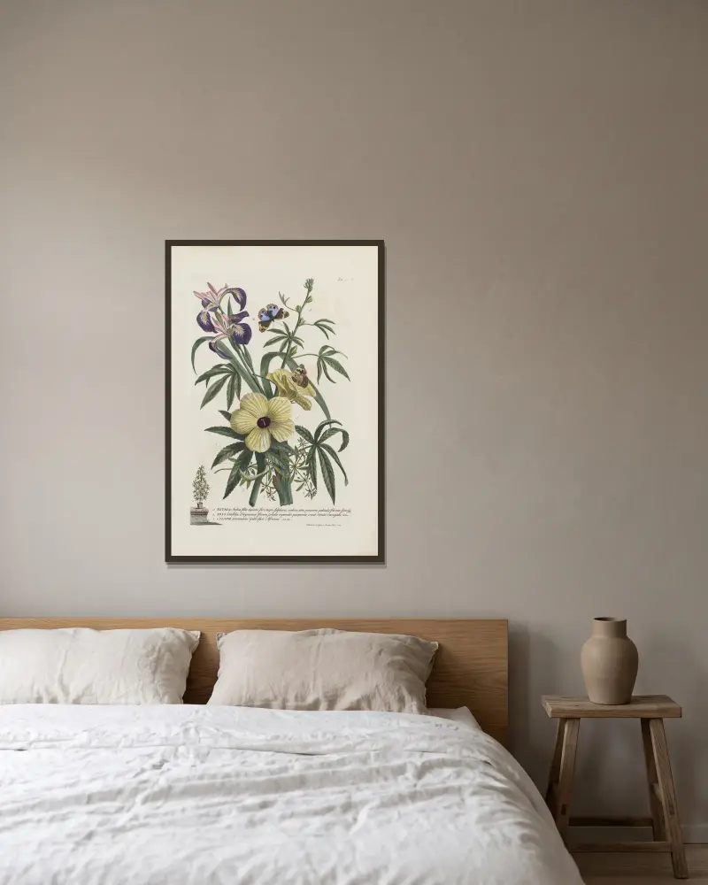 1. Ketmia 2. Iris 3. Alsine av Georg Dionysius Ehret inramad på en vägg