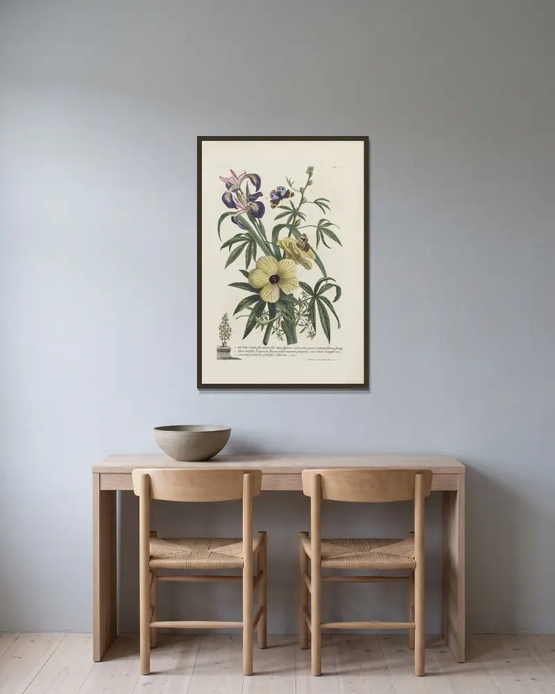 1. Ketmia 2. Iris 3. Alsine av Georg Dionysius Ehret inramad på en vägg
