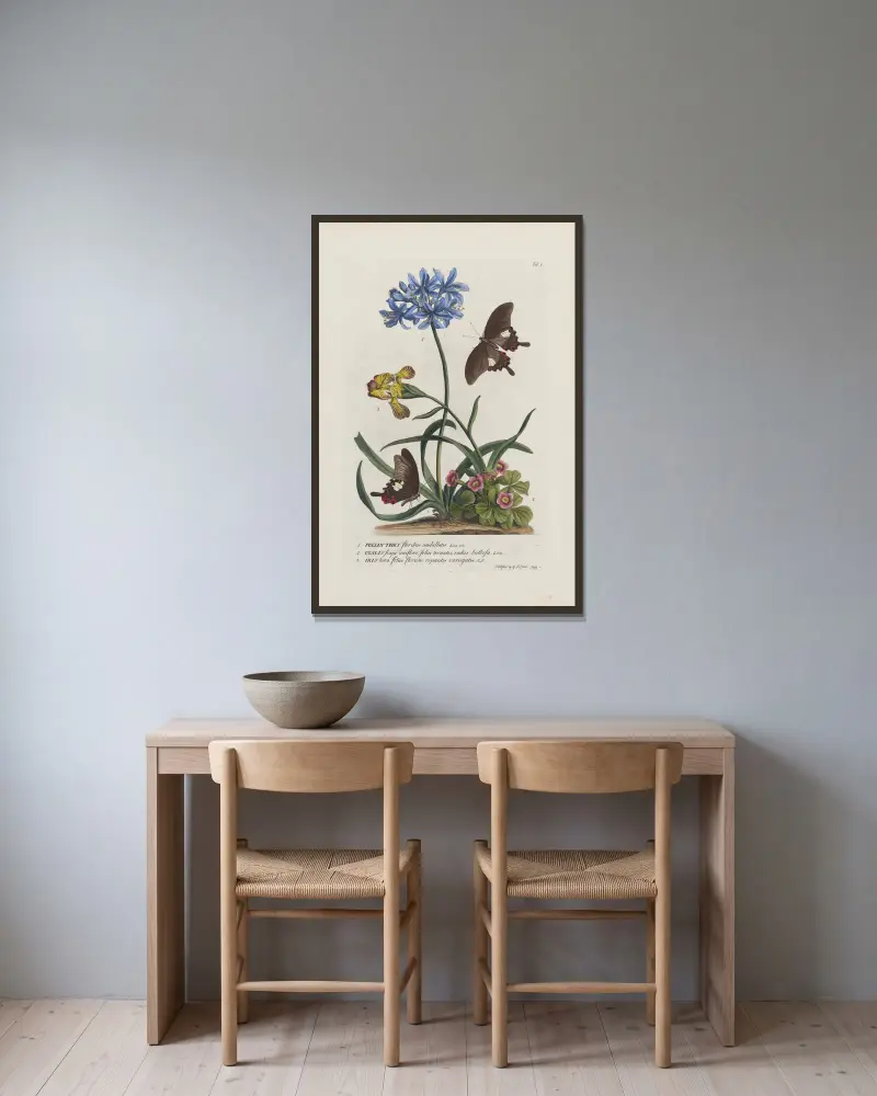 1.Polianthes 2.Oxalis 3.Iris av Georg Dionysius Ehret inramad på en vägg