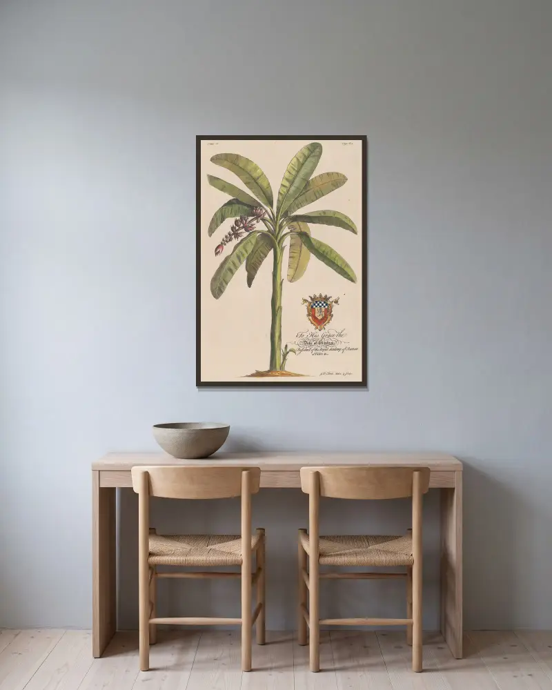 The Banana Tree av Georg Dionysius Ehret inramad på en vägg