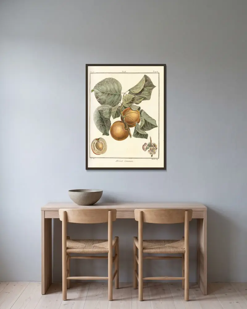 Traité des arbres fruitiers Taf. 06 von Henri-Louis Duhamel du Monceau gerahmt an einer Wand