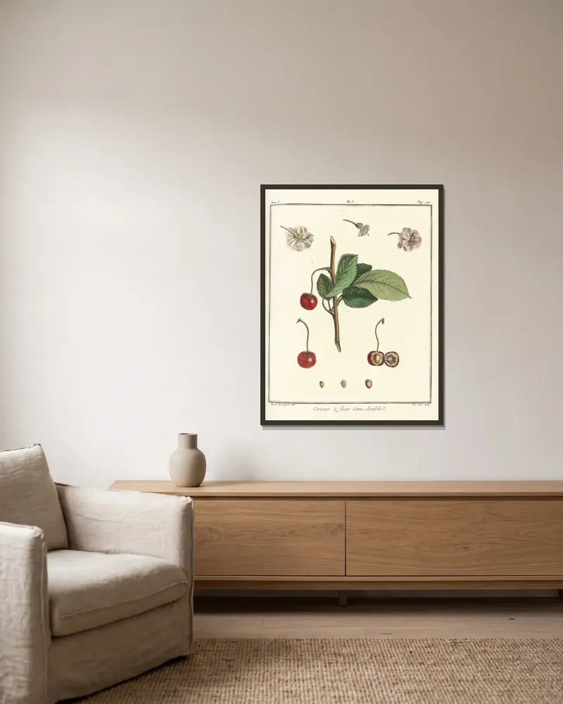 Traité des arbres fruitiers Taf. 16 von Henri-Louis Duhamel du Monceau gerahmt an einer Wand