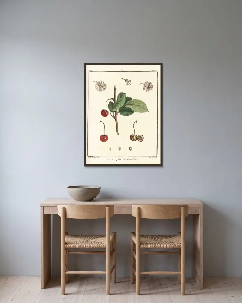 Traité des arbres fruitiers Taf. 16 von Henri-Louis Duhamel du Monceau gerahmt an einer Wand