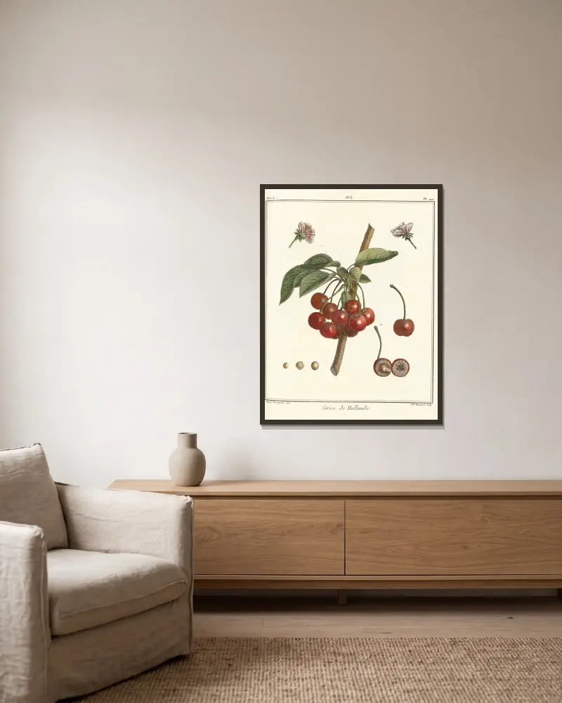 Traité des arbres fruitiers Taf. 21 von Henri-Louis Duhamel du Monceau gerahmt an einer Wand