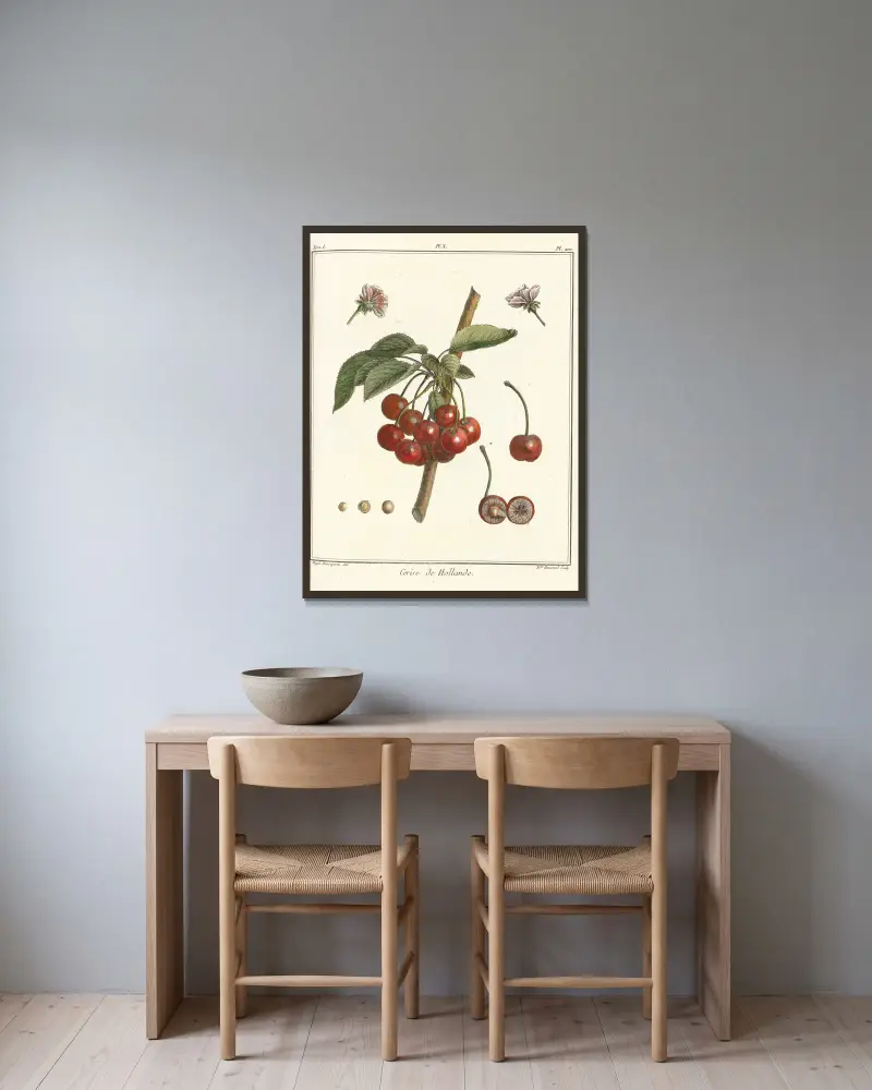 Traité des arbres fruitiers Taf. 21 von Henri-Louis Duhamel du Monceau gerahmt an einer Wand