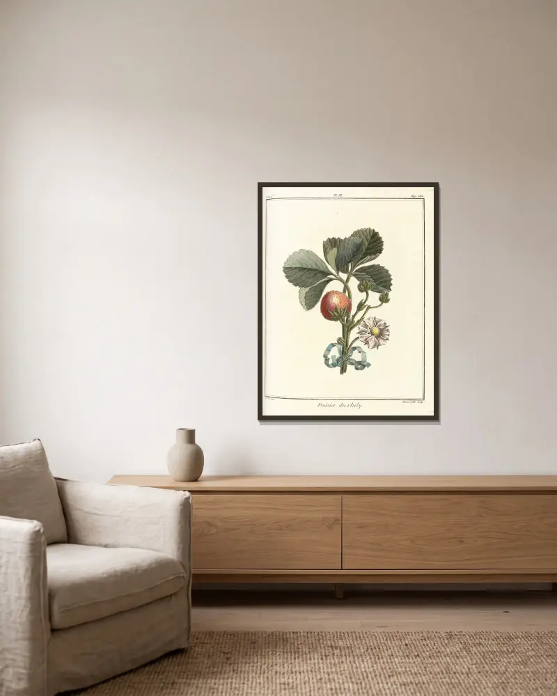 Traité des arbres fruitiers Taf. 33 von Henri-Louis Duhamel du Monceau gerahmt an einer Wand