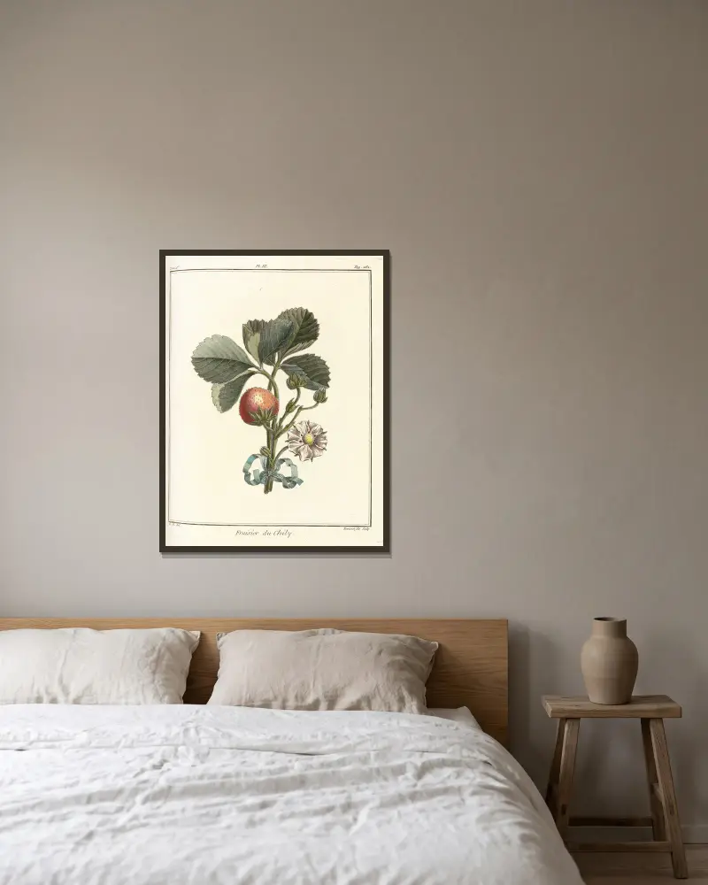 Traité des arbres fruitiers Taf. 33 von Henri-Louis Duhamel du Monceau gerahmt an einer Wand
