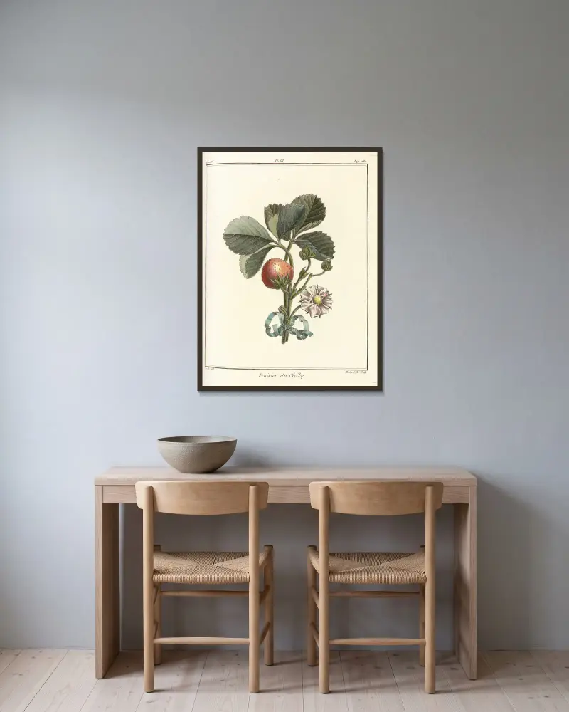 Traité des arbres fruitiers Taf. 33 von Henri-Louis Duhamel du Monceau gerahmt an einer Wand