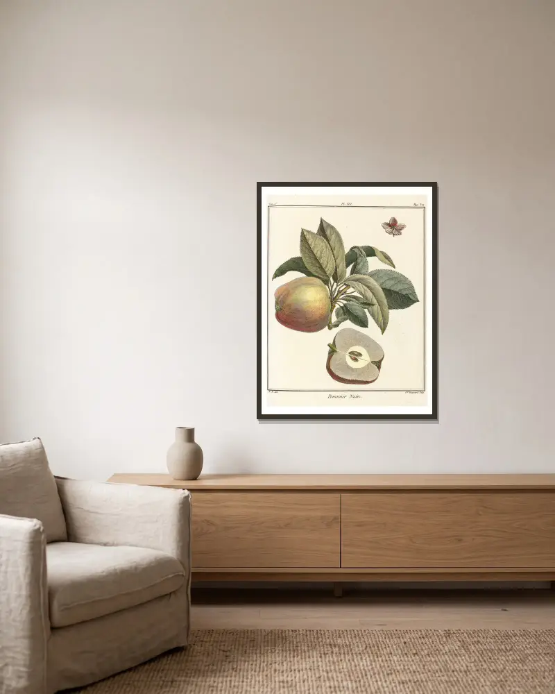 Abhandlung über Obstbäume, Tafel 49 von Henri-Louis Duhamel du Monceau gerahmt an einer Wand