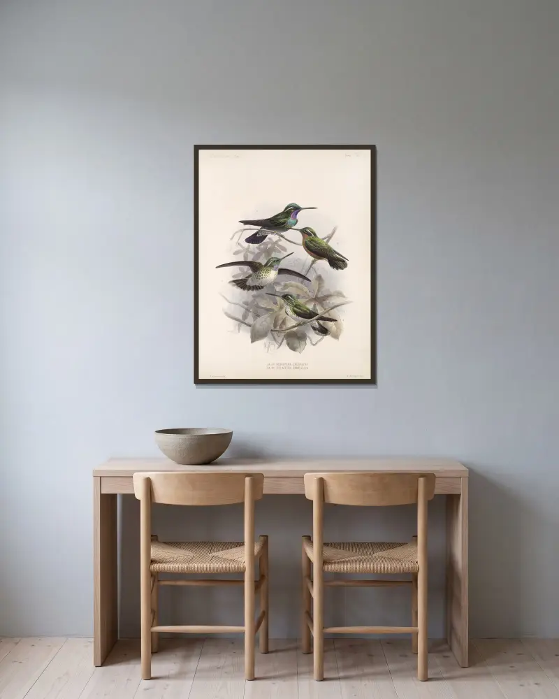 Aves Pl 55, Frederick DuCane Godman v rámu na stěně