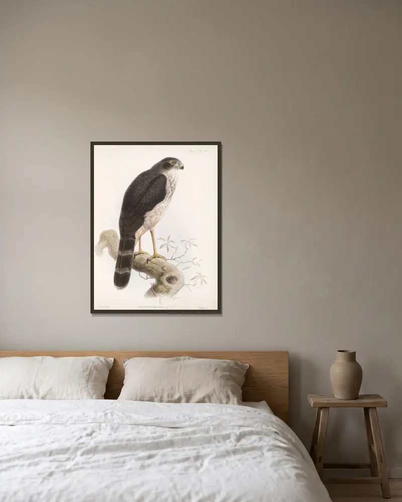 Aves Pl. 69, Frederick DuCane Godman v rámu na stěně