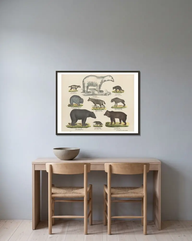 Zoologischer Atlas in 45 Tafeln, Tafel 3 von D. E. Friedlein gerahmt an einer Wand