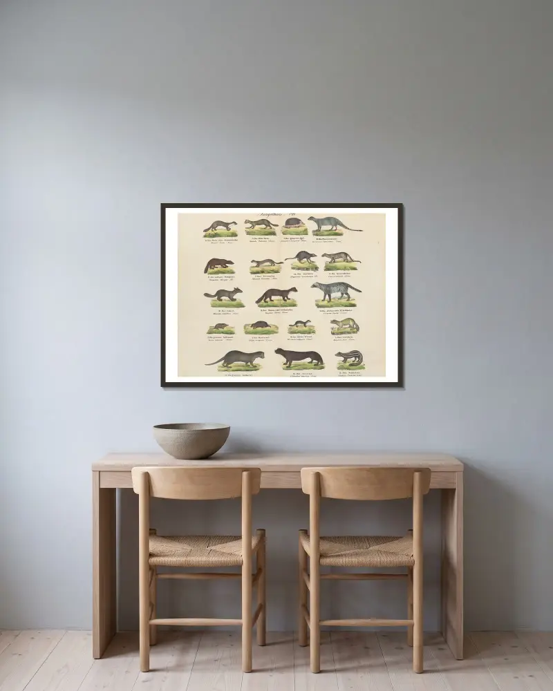 Zoologischer Atlas in 45 Tafeln, Tafel 4 von D. E. Friedlein gerahmt an einer Wand