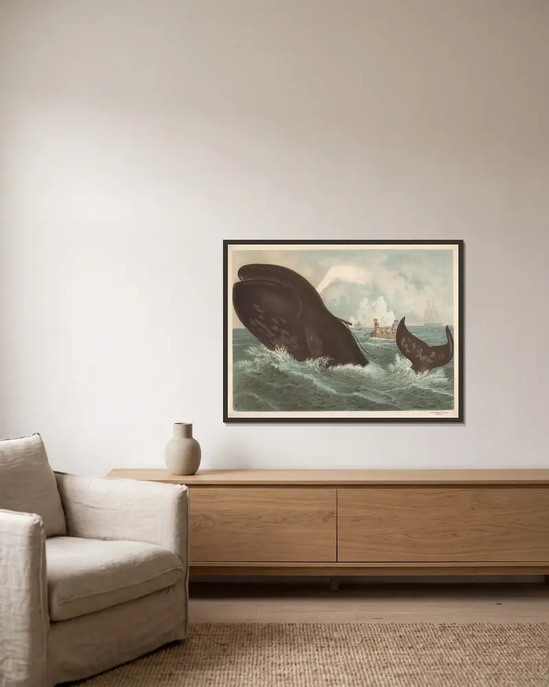 Bowhead whale av F. E. Wachsmuth inramad på en vägg