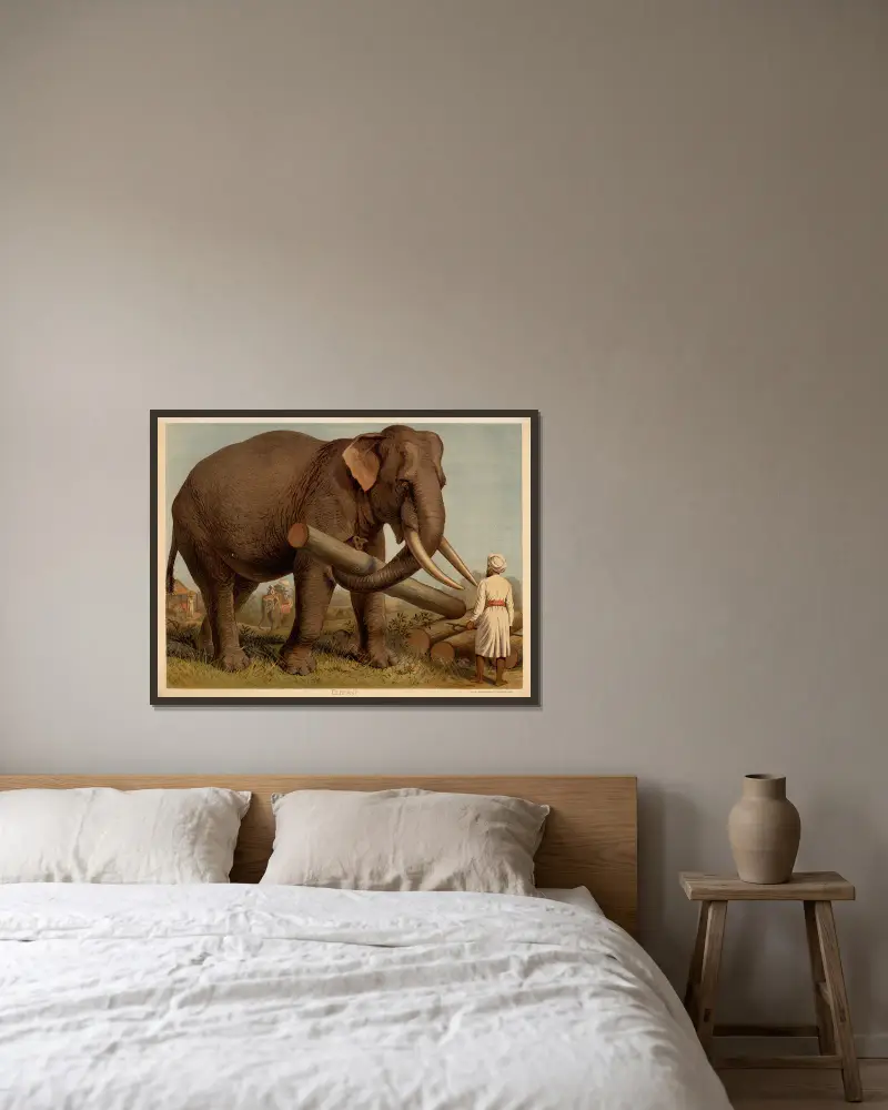 Elephant av F. E. Wachsmuth inramad på en vägg