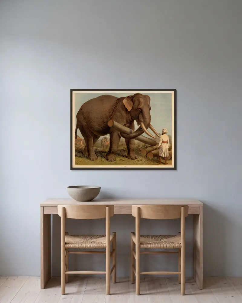 Elephant av F. E. Wachsmuth inramad på en vägg
