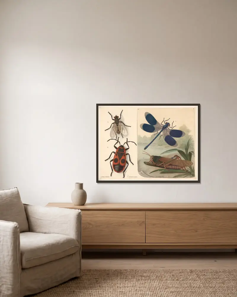 Fly, ladybug, dragonfly, and grasshopper av F. E. Wachsmuth inramad på en vägg