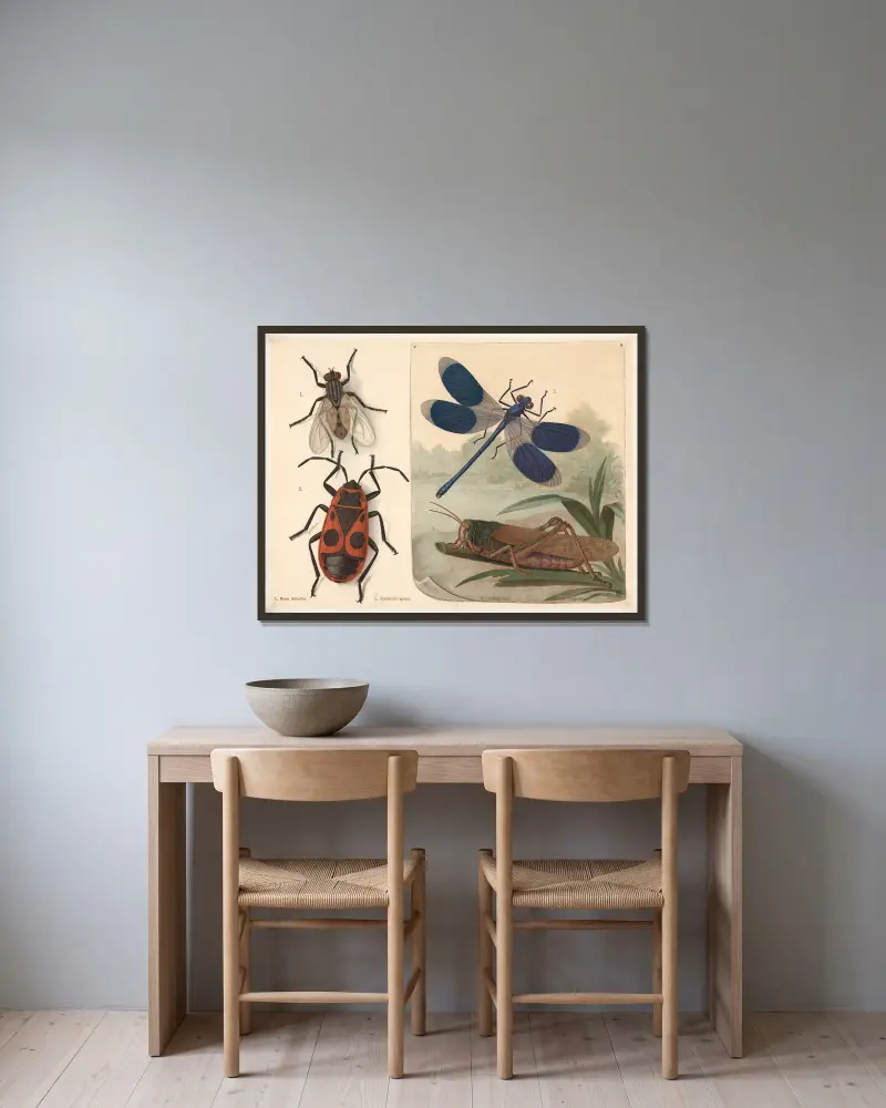 Fly, ladybug, dragonfly, and grasshopper av F. E. Wachsmuth inramad på en vägg