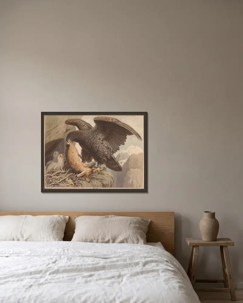 Golden eagle av F. E. Wachsmuth inramad på en vägg