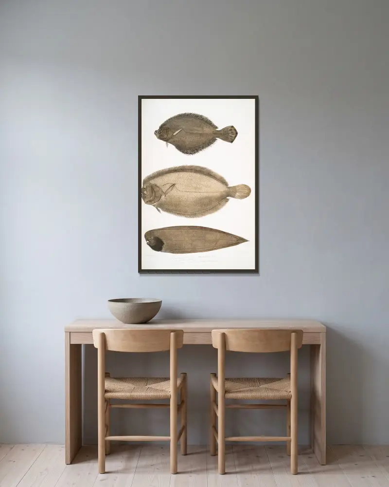 1. Kinesisk rödspätta, Platessa Chinensis; 2. Dr. Russells rödspätta, Platessa Russellii; 3. Kortlinjerad fenlös tunga, Plagusia abbreviata. Kina. av John Edward Gray inramad på en vägg