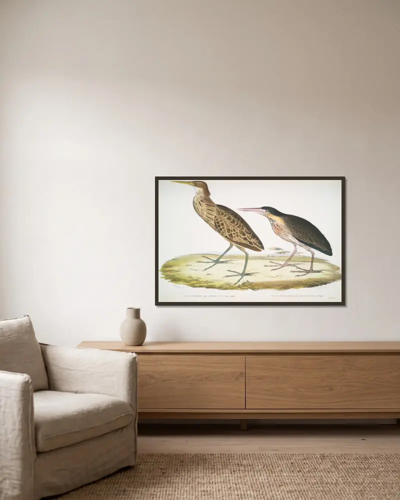 1. Kanelhäger, Ardea cinnamonea; 1. Gulhalsad häger, Ardea flavicollis. av John Edward Gray inramad på en vägg