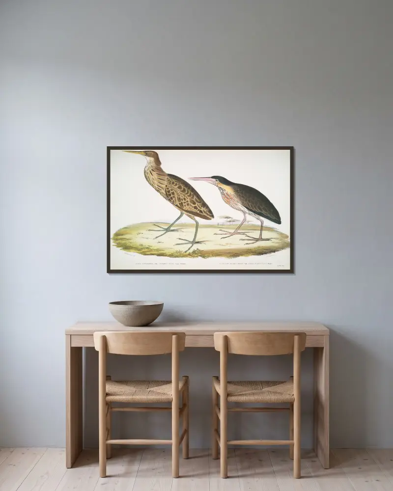 1. Kanelhäger, Ardea cinnamonea; 1. Gulhalsad häger, Ardea flavicollis. av John Edward Gray inramad på en vägg