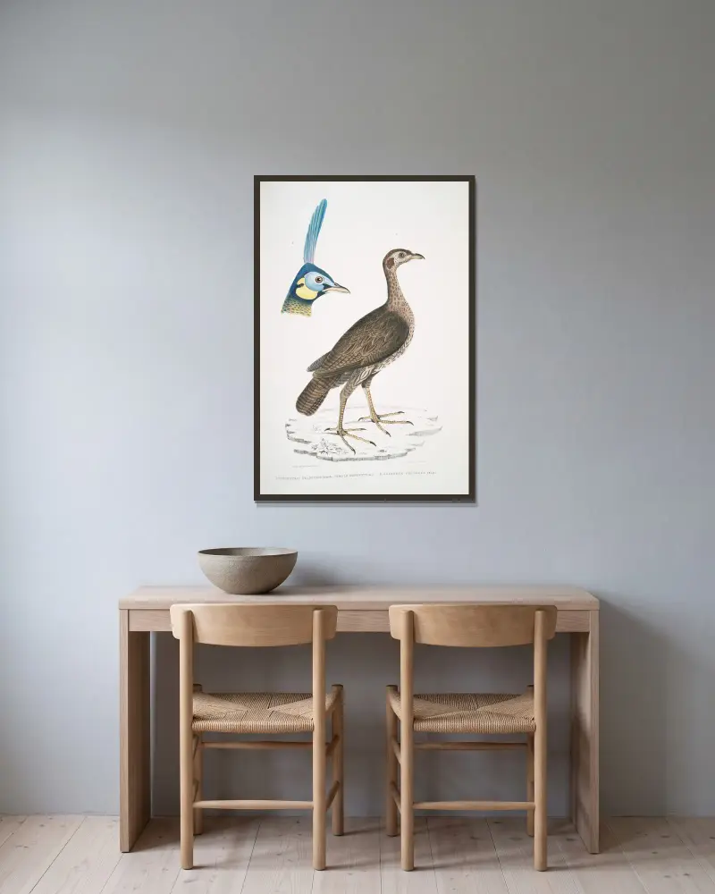 1. Koncentrisk frankolin (hona), Perdix concentrica; 2. Javapåfågel, Pavo muticus. (Huvud) av John Edward Gray inramad på en vägg