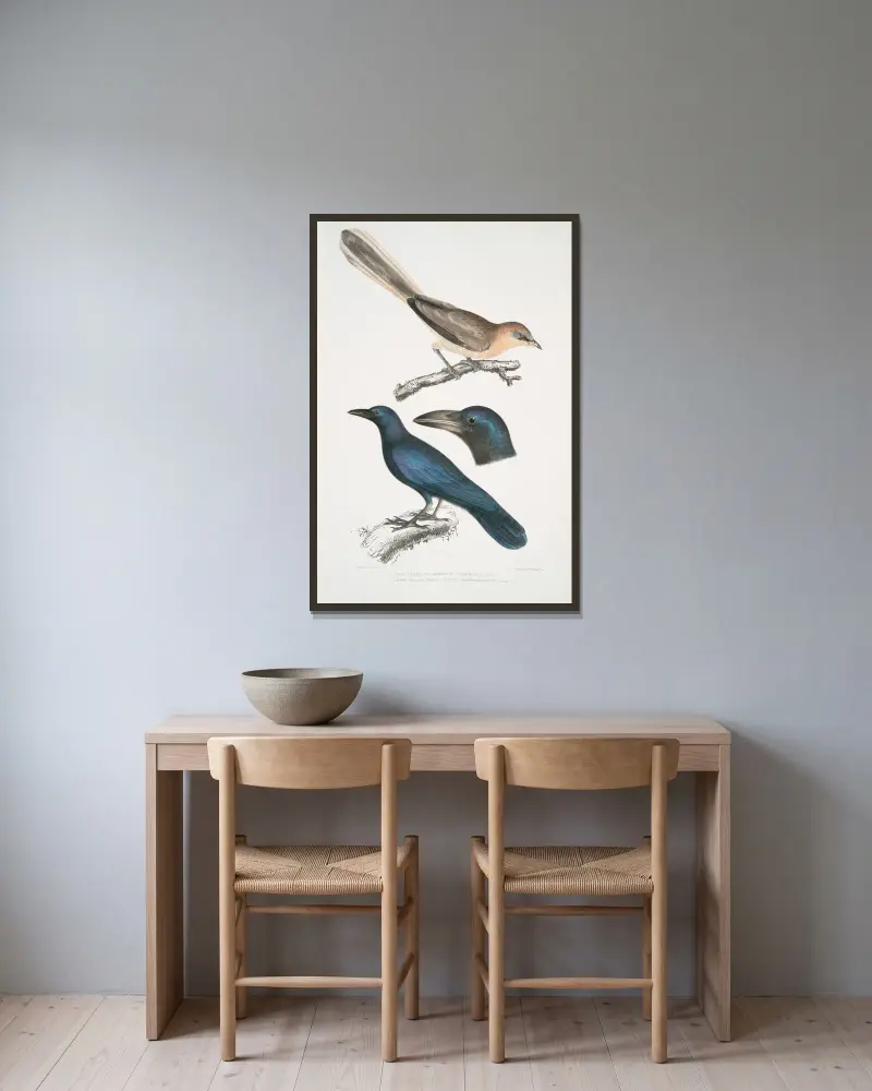 1. Blekgrå nötskrika, Garrulus albifrons; 2. Stornäbbad kråka, Corvus macrorhynchus. av John Edward Gray inramad på en vägg