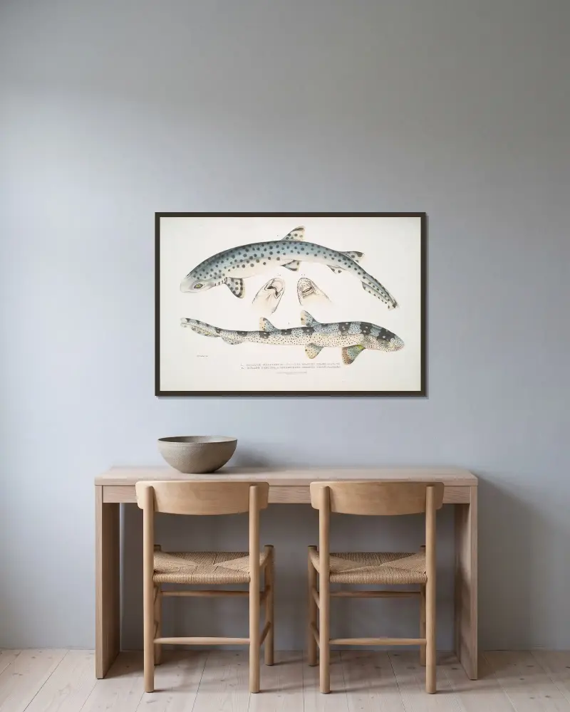 1. Fläckig skäggaj, Scyllum maculatum. Indien, Mus. Brit.; 2. Ornamenterad skäggaj, Scyllum ornatum av John Edward Gray inramad på en vägg