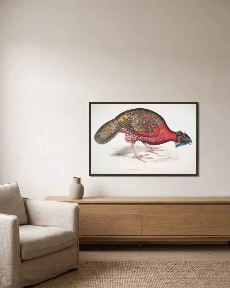 Bengalisk hornfasan, Satyra Lathami. av John Edward Gray inramad på en vägg