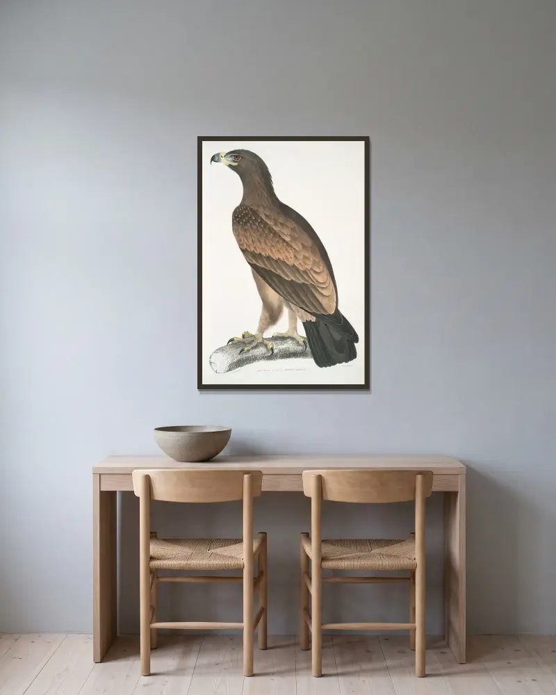 Brauner Adler, Aquilla fusca. von John Edward Gray gerahmt an einer Wand