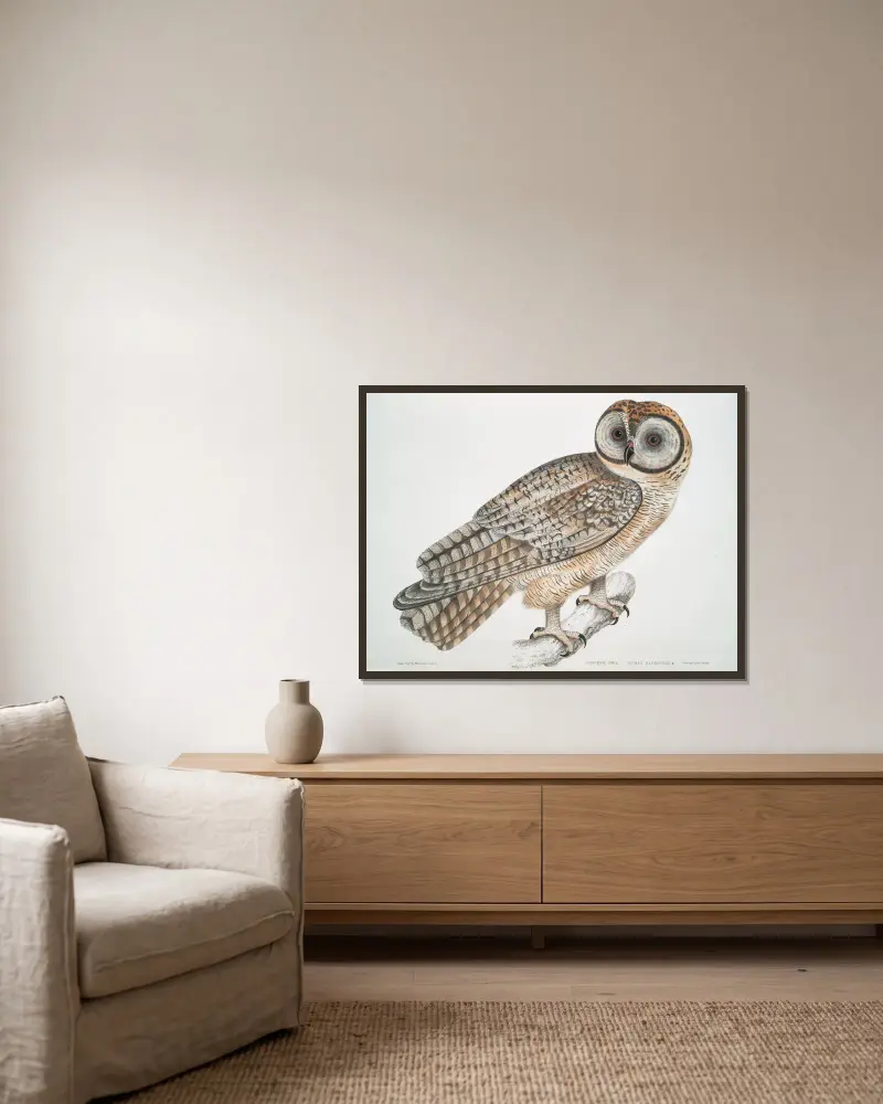 Chinese Owl, Strix Sinensis. av John Edward Gray inramad på en vägg