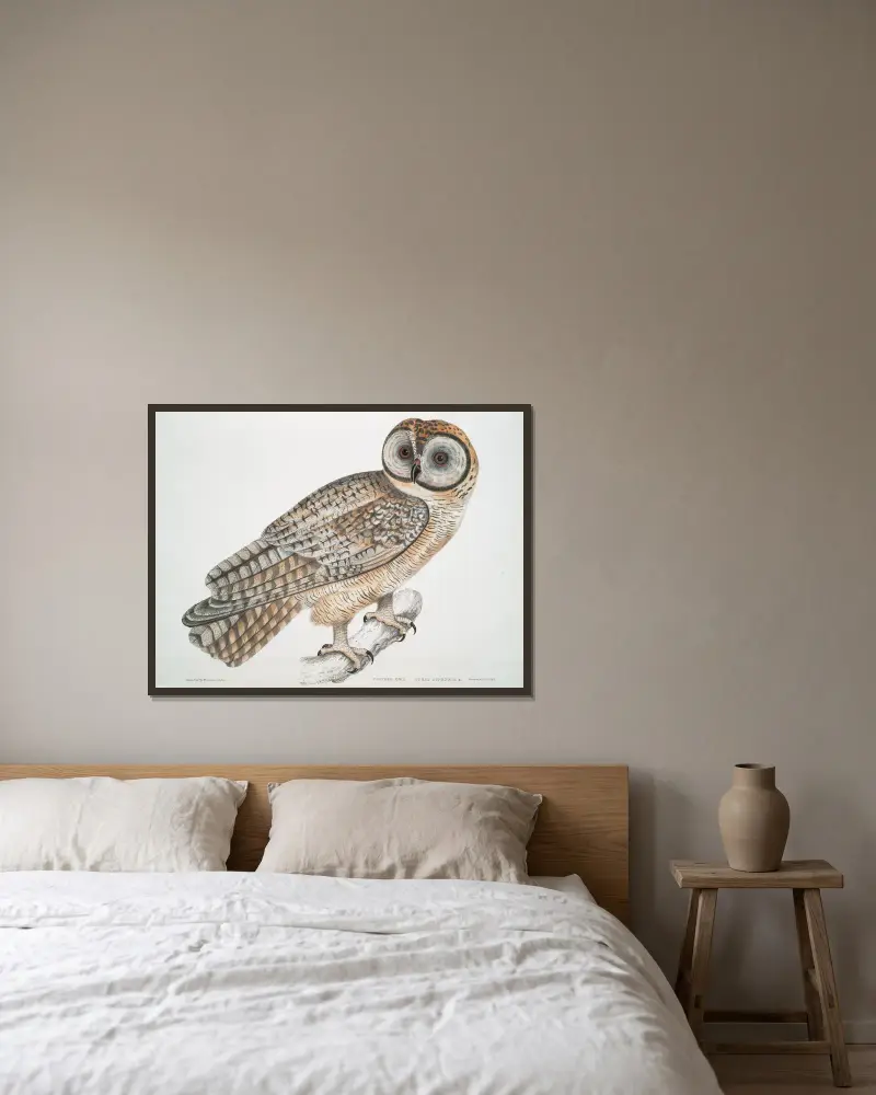 Chinese Owl, Strix Sinensis. av John Edward Gray inramad på en vägg