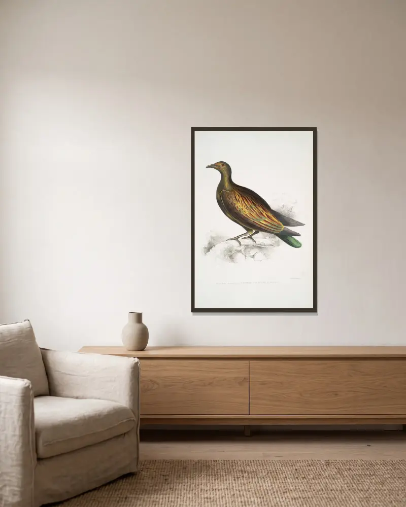Kinesisk tippad duva, Columba Gouldioe. av John Edward Gray inramad på en vägg