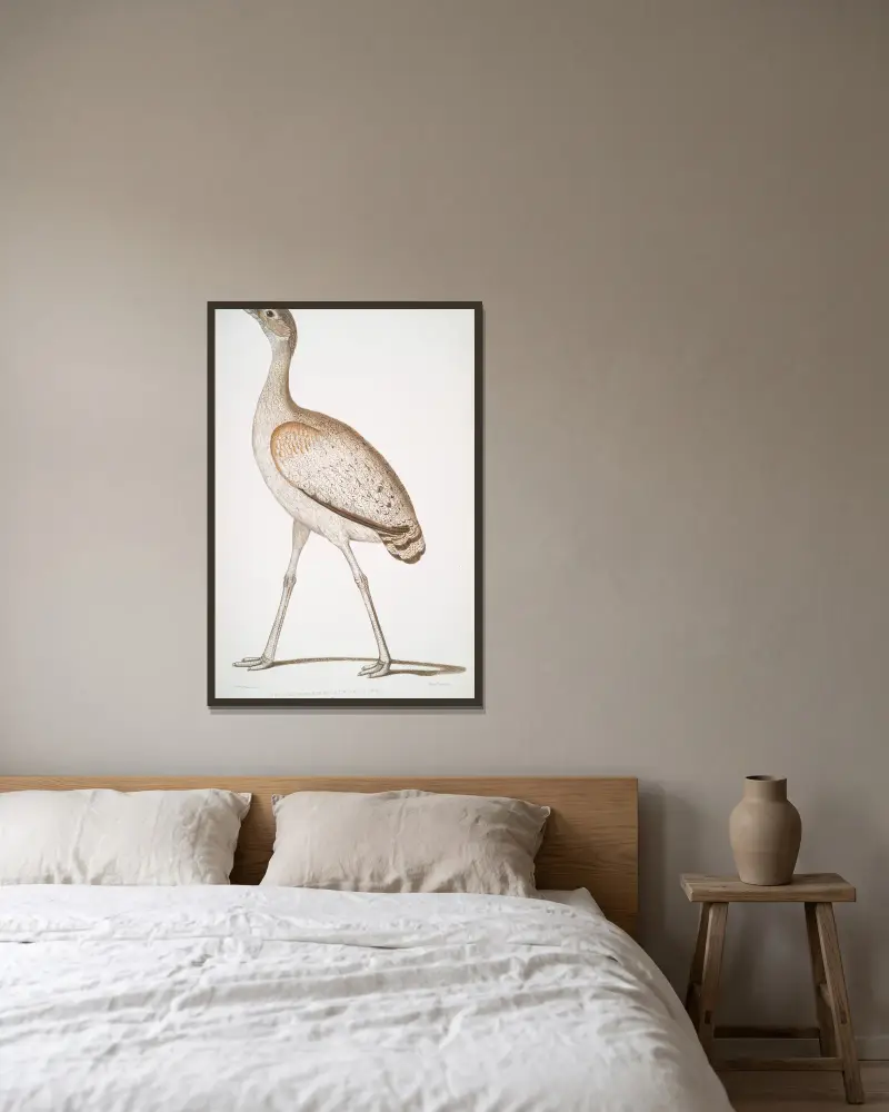 Delicious Bustard, Otis deliciosa. Hona. av John Edward Gray inramad på en vägg